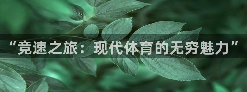oety欧亿体育官网下载平台是正规平台吗安全吗:“竞速之旅: