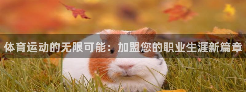 oety欧亿体育官网下载平台APP:体育运动的无限可能:加盟