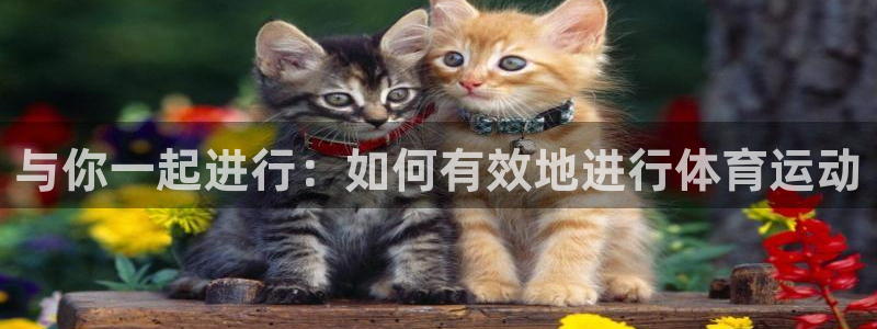 欧亿体育官方集团官网:与你一起进行:如何有效地进行体育运动